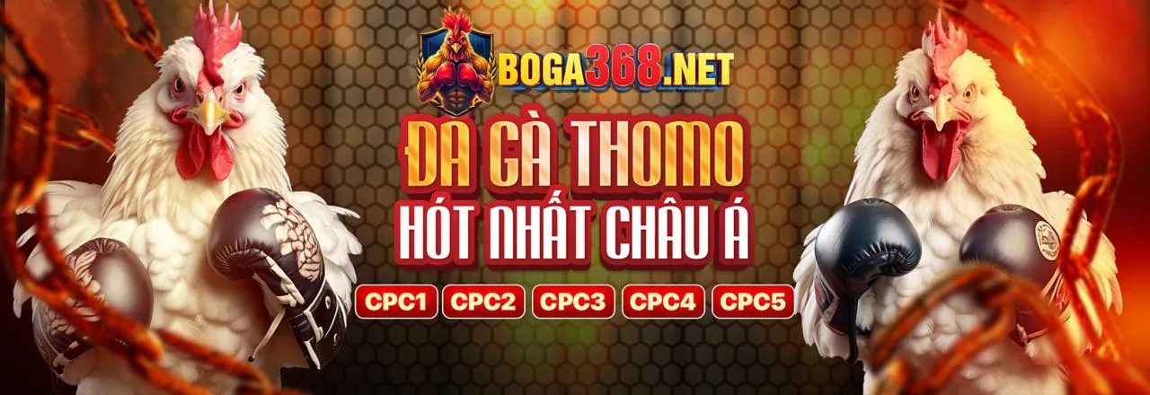 Hỗ trợ khách hàng 24/7 của 23win