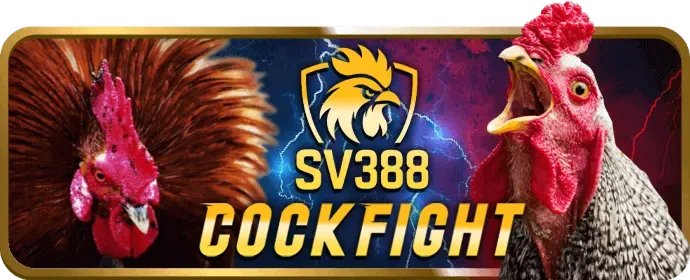 Cá cược bóng rổ 23win chính thức